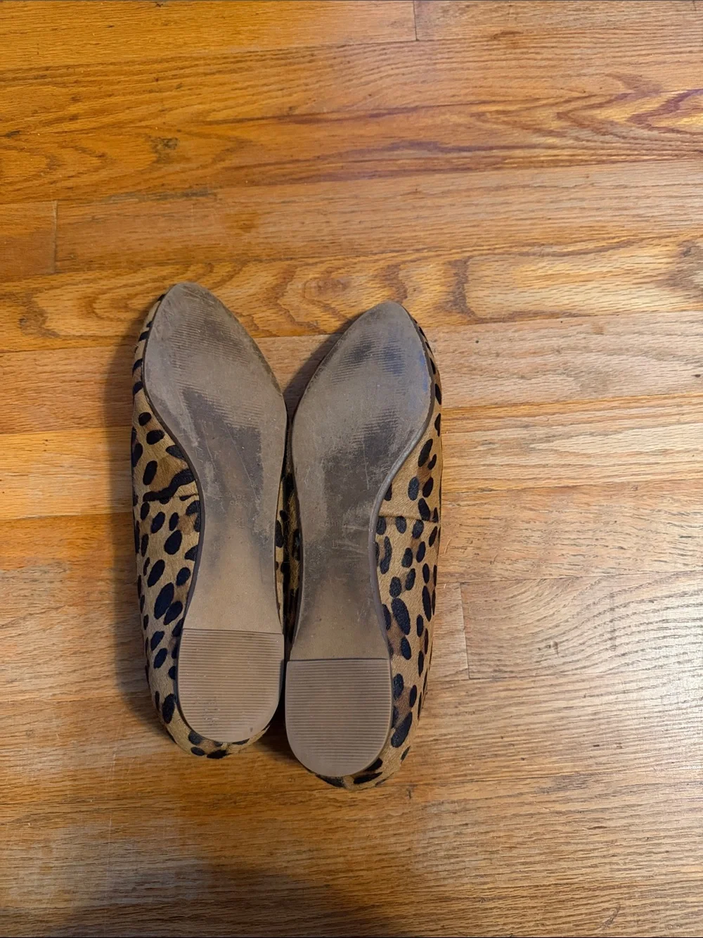 Madewell classic pointed